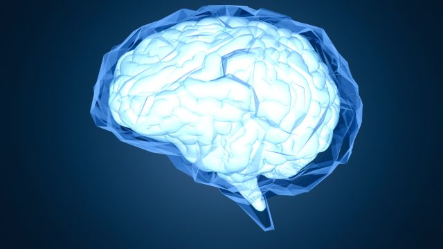 Чтобы исследовать воспаление вирусного мозга во время беременности. Новый метод использует органоиды