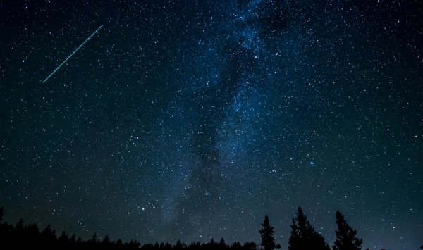 Космос для всех: 125 лет любительского круга в SU способствует астрономии