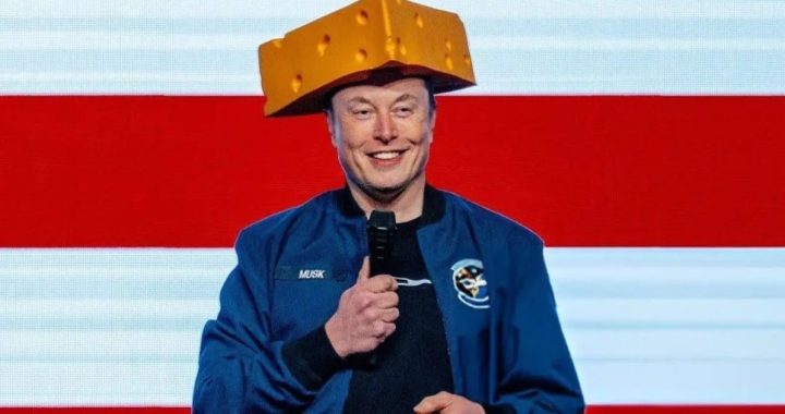 Тесла отрицает, что ищет заместителя мускуса