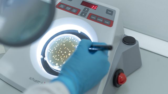 Пробиотики помогают при синдроме раздраженного кишечника