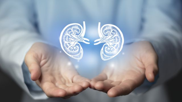 Какие изменения кожи предлагают почечную недостаточность?