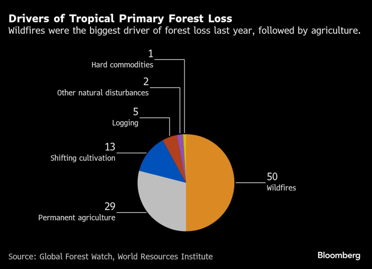 Глобальный лес