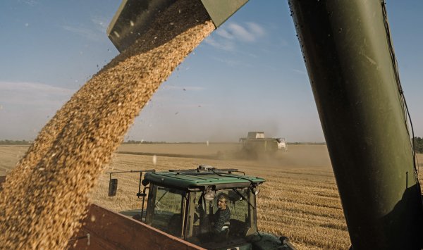 ЕС восстановит сельскохозяйственные квоты для Украины