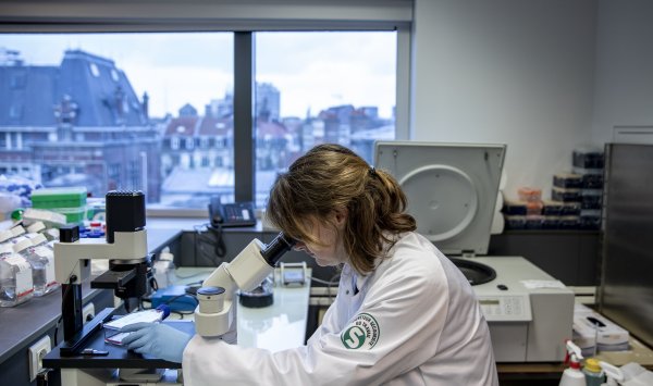 Германия и Гонконг хотят привлечь студентов из Гарварда