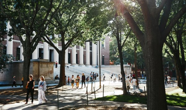 США практически остановили выдачу студенческих виз