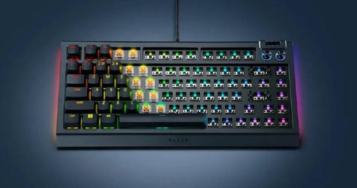 Для любителей касттомизации: Razer представил Blackwidow V4 75% Barebones — механическая клавиатура без кнопок