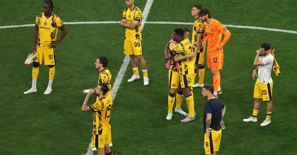 Удивительный вариант для нового тренера по интернету