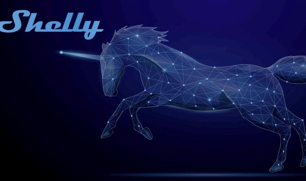 У Bulgaria есть вторая компания Unicorn - Shelli Group Stock Company