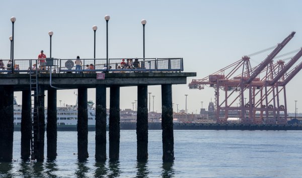 Сезон отчетности: неопределенность — единственная уверенная вещь для инвесторов