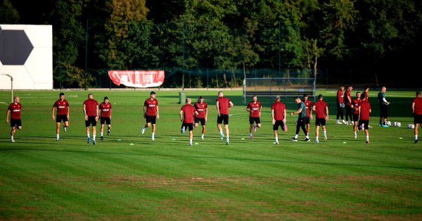 Кипр -заводчик для Болгарии: мы встречаем очень качественную команду