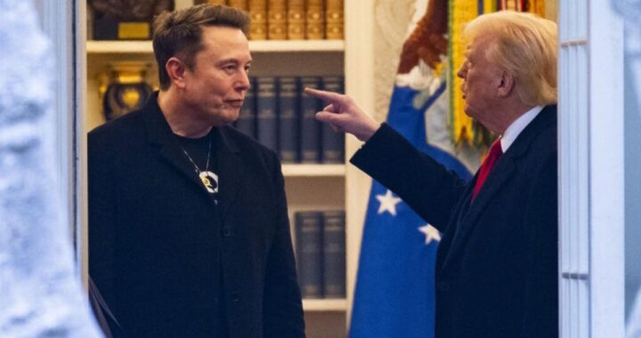 Трамп: Илон Маск сумасшедший