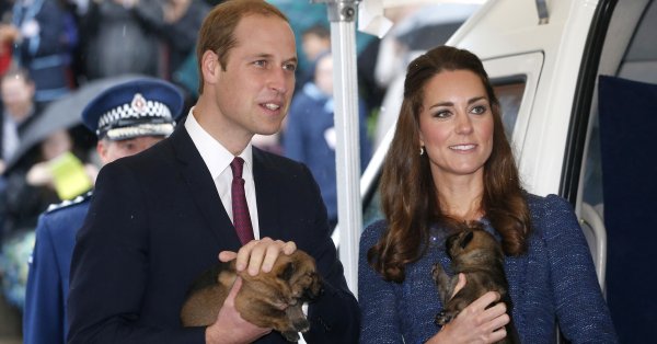 Royal News — Что принц Уильям и Кейт Миддлтон сделают со своими собаками
