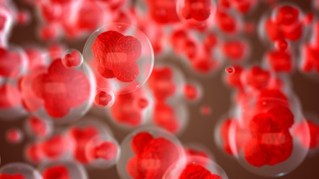 Расширенный доступ к трансплантации — клинические результаты в несовместимых донорах с применением циклофосфамида