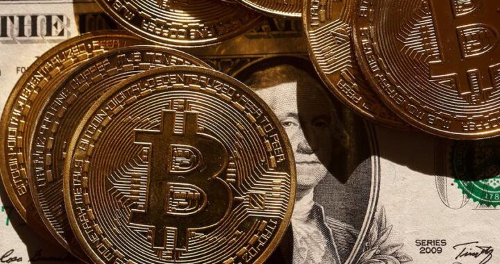 За последний год биткойн-киты упали более 500 000 BTC, учреждения забрали и стабилизировали рынок