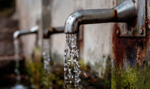 Зеленый словарь: что такое бактерия Legionella?