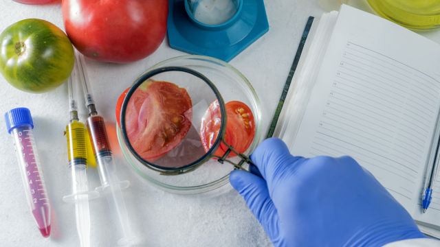 Пирогов с летней тревогой: будьте осторожны с едой и гигиеной летом!