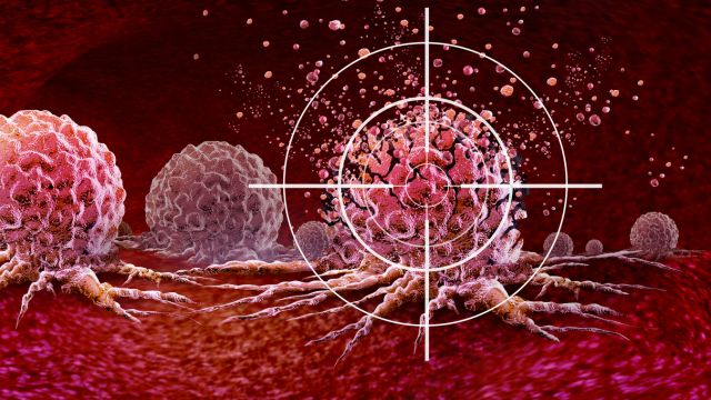 Глютамин — скрытый союзник опухоли в его борьбе с иммунной системой