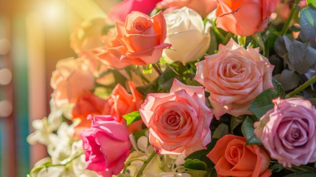 Цветовая терапия — Как цвета влияют на эмоции и могут улучшить настроение?