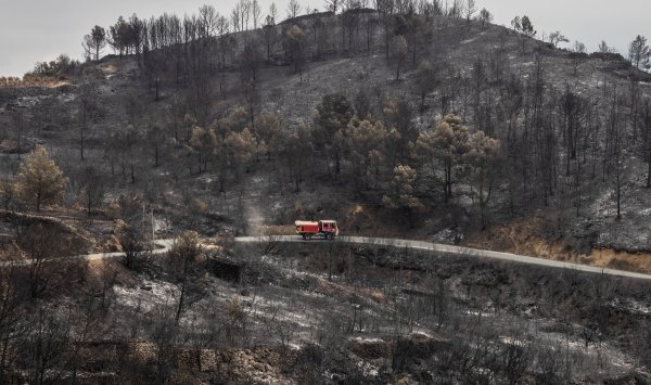 Изменение климата сделало пожары в Турции и Греции в 10 раз чаще более вероятно