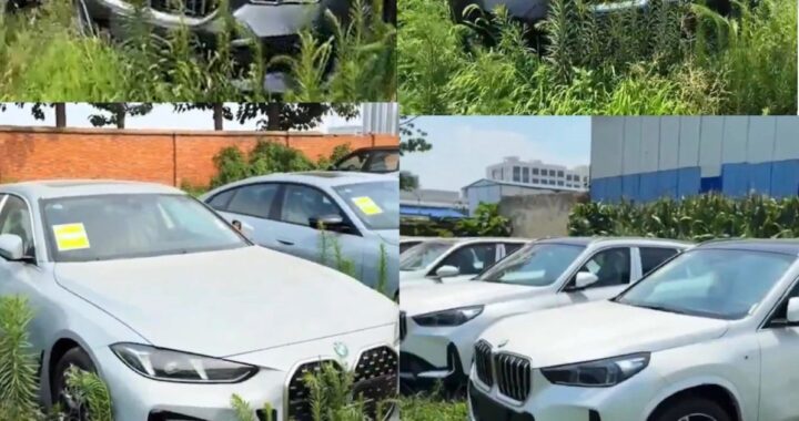 Новые BMW для сотен тысяч евро в кустах в Китае