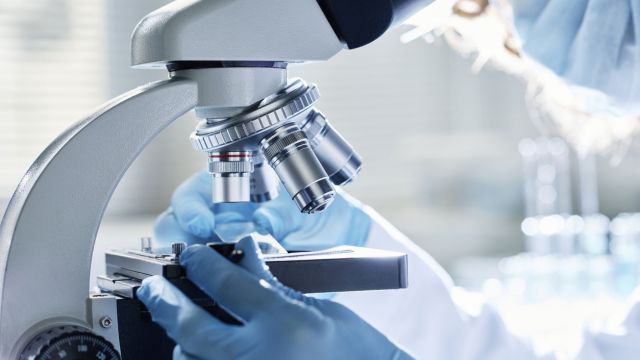 Лабораторные методы диагностики паразитических инфекций
