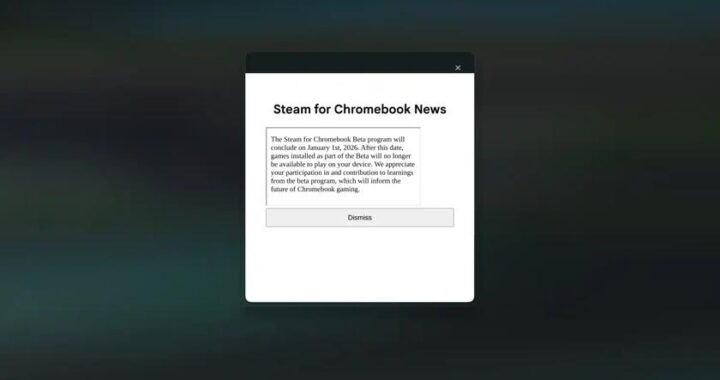 Стебель перестанет работать над Chromebook уже 1 января 2026 года