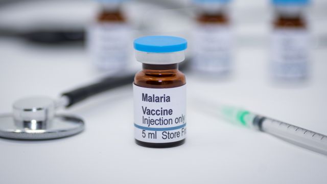 Новая вакцина вакцины Irnna блокирует передачу малярии, нацеливаясь на ключевой белковый комплекс