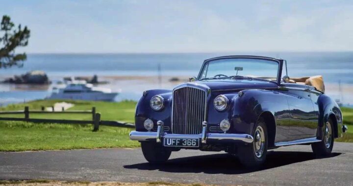 12 Supercols, вы вряд ли когда -либо увидите вживую