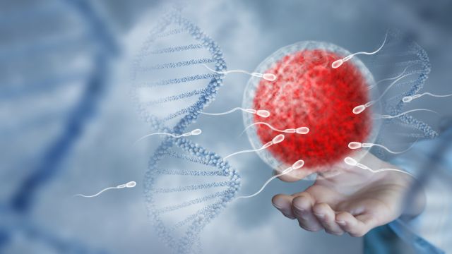 Гемохроматоз и повреждение яичка