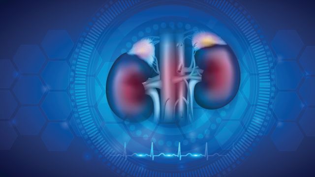 Методы диагностики почечного рака