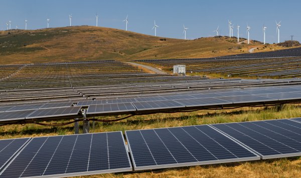 Зеленая революция жива и здорова — просто не в США