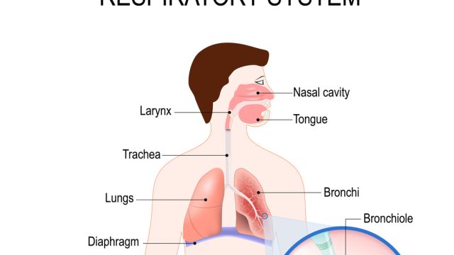 Каковы осложнения инфекций верхних дыхательных путей?