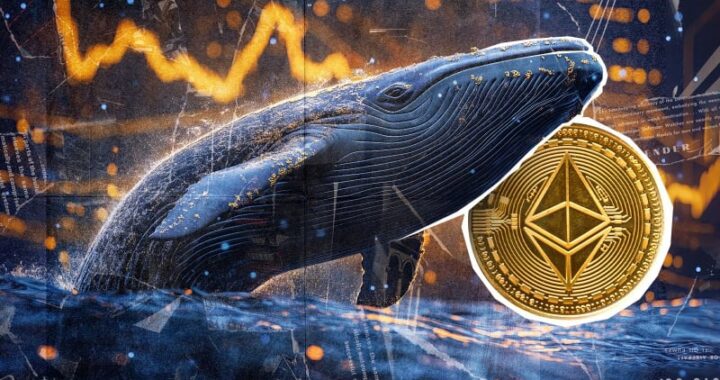 Неизвестный «кит» купил Ethereum почти за 1 миллиард долларов в неделю