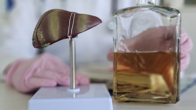 Как алкоголь помогает кишечным бактериям атаковать печень?