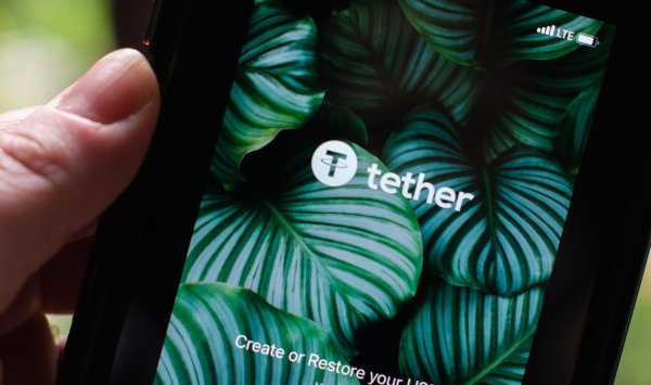 SoftBank и Ark в переговорах по инвестициям в большом раунде привязки