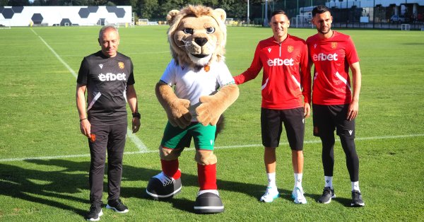 Илиан Илиев: Против Испании мы не должны защищать себя, потому что это будет катастрофически