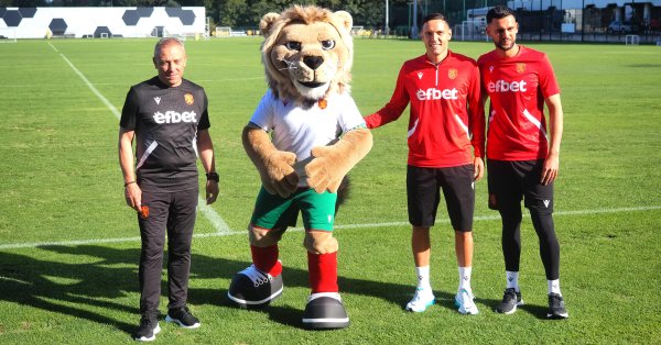 Далее, львы! Мы выходим за чудо против Испании