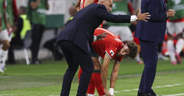 Кража за 1 миллион евро! Заводчик Португалии в шоке