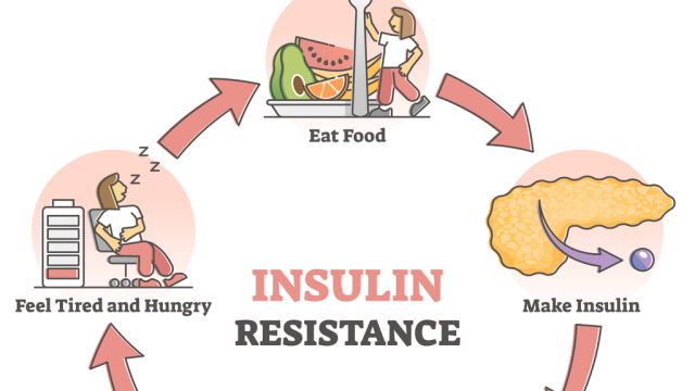 Физиологическая резистентность к инсулину во время беременности