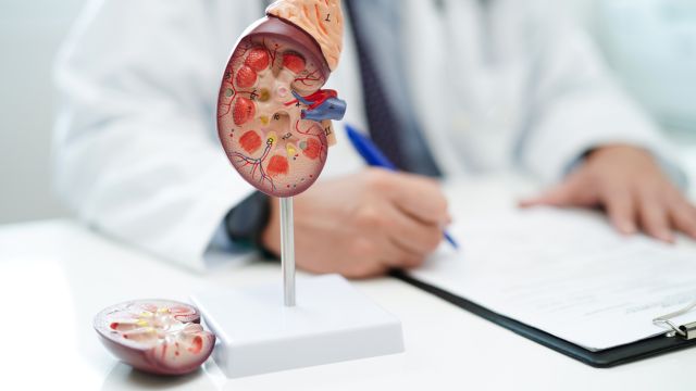 Больница Lozenets организует свободные профилактические обследования на заболевание почек