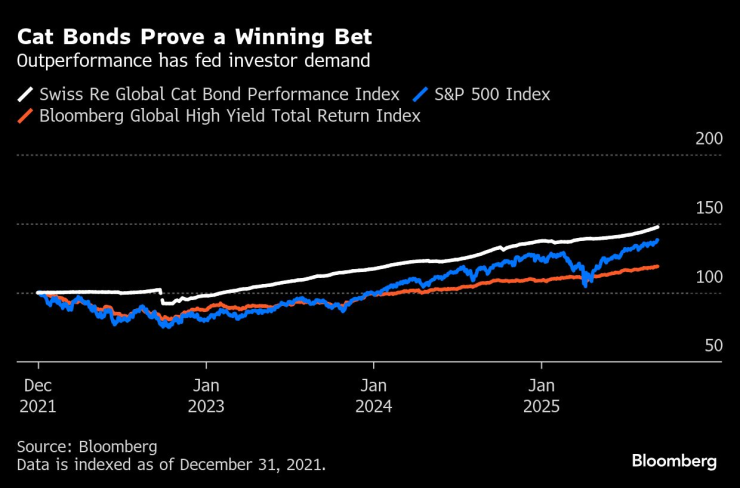Кошачьи связи