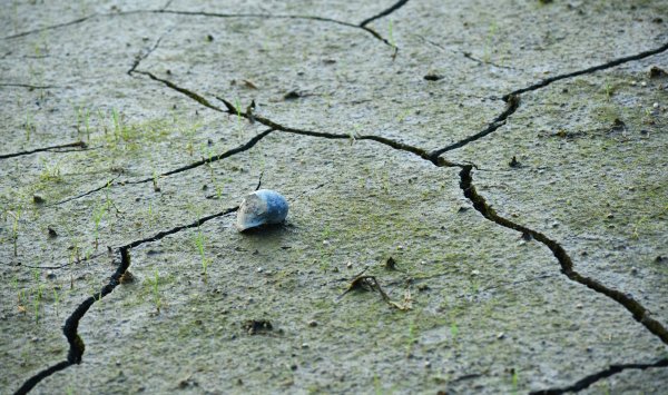 Румыния и Турция уже предупреждают о землетрясениях, в Болгарии аналогичная система отсутствует