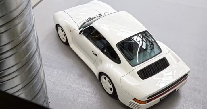 10 зверей перед электроникой, чтобы убить веселье