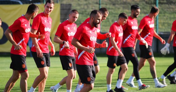 «Львы» имеют право мечтать