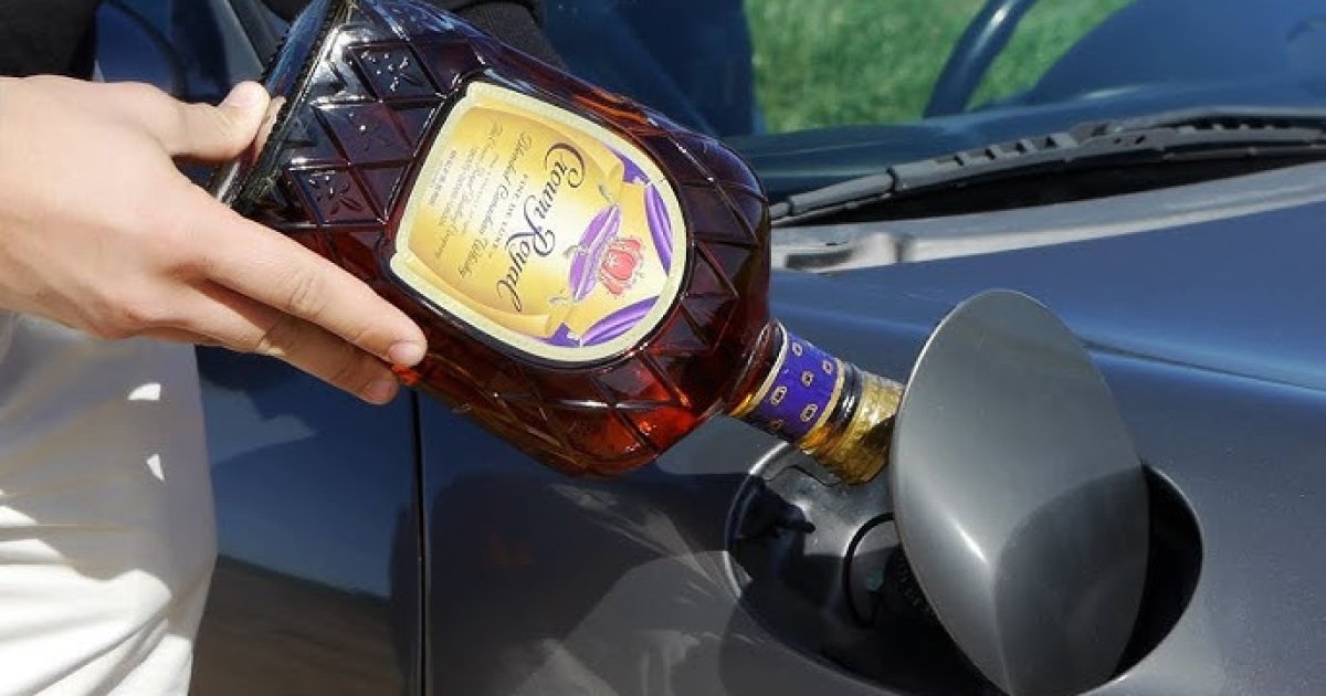 Действительно ли алкоголь помогает в аквариуме?