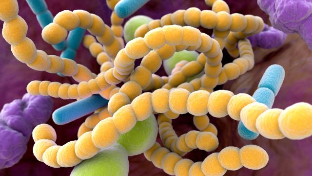 Бактерии в полости рта могут вызвать рак поджелудочной железы