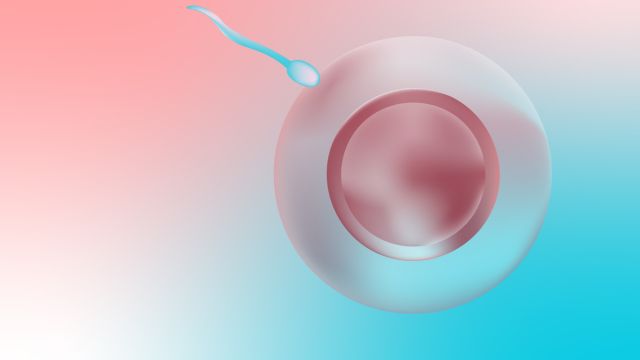 Важность возраста человека для качества спермы