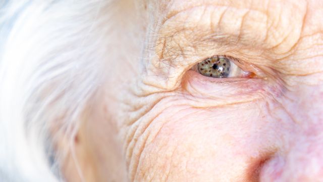 Первое в своем роде лечение от макулярной телагиэктазии уже на рынке