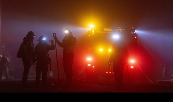 Дым от лесных пожаров повышает смертность и наносит значительный экономический ущерб