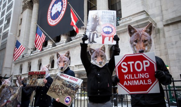 Мода больше не болит - от кожной зависимости идет к этике и инновациям